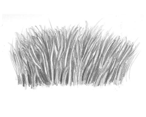 How to Draw Realistic Grass That's Ready to Be Seen - Let's Draw Today