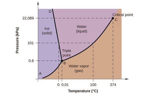 37+ Chem Phase Diagram - JeanieNatko