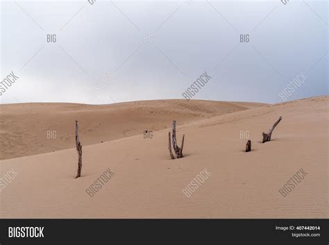 Wild Desert Landscape Image & Photo (Free Trial) | Bigstock