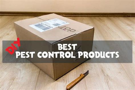 DIY Pest Control: 10 Products That Will Transform Your Home Into a Bug ...