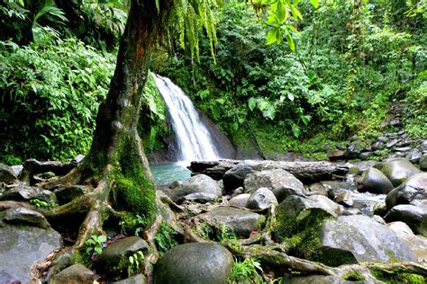 Le parc national de la Guadeloupe - La Guadeloupe - Guadeloupe