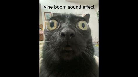 vine boom sound effect - YouTube