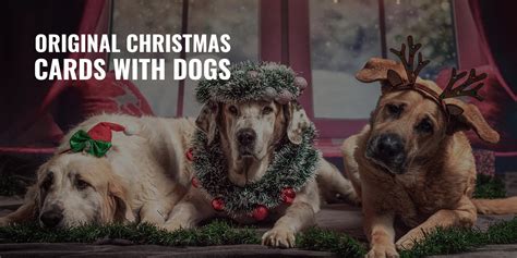 20 Original Christmas Cards With Dogs – Festive, Cute & Funny