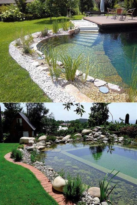 pics of natural swimming pools - Yahoo Image Search Results | Backyard ...