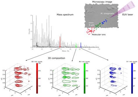 Nanoscale Mass Spectrometry Imaging - Laboratory for Advanced Lasers ...