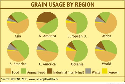 Chart of Grain Usage by Region - The Global Education Project