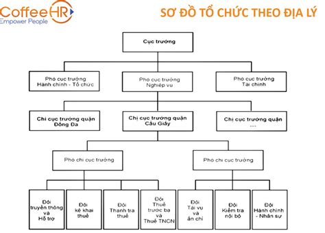 13 Mẫu sơ đồ tổ chức công ty phổ biến mới nhất 2023 [Tải về] - Networks ...