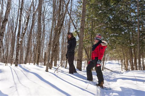 Cedar Grove Lodge, Huntsville Muskoka Ontario - Cedar Grove Lodge ...