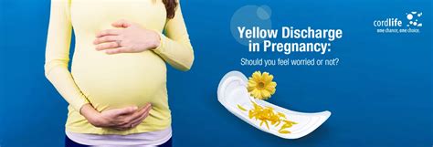 Yellow Discharge During Pregnancy: Signs and Treatments