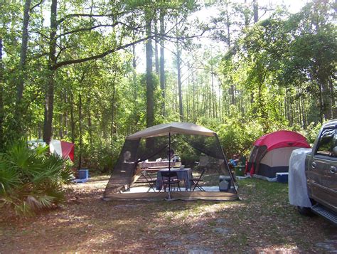 Andre's Corner: Camping at the Okefenokee swamp