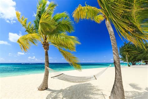 37 Of The Best Beaches In The Caribbean | Celebrity Cruises