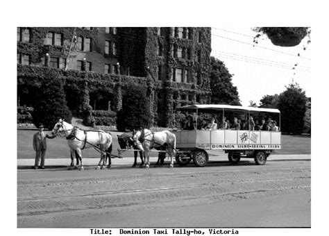 The History of the Horse and Buggy - Tally-Ho Tours