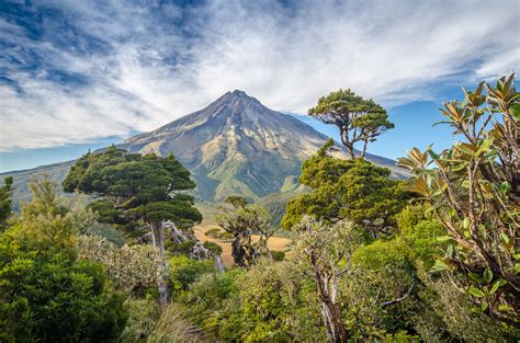 Explore amazing nature of New Zealand in 3 weeks! - Fripito