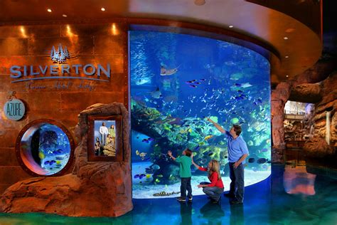 The Aquarium at the Silverton Hotel | Aquarium las vegas, Vegas ...