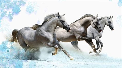 Running Horses Wallpaper (63+ images)