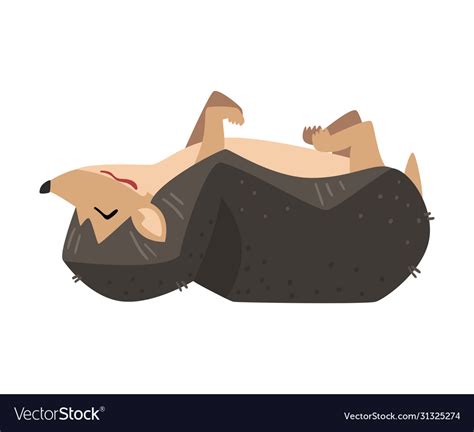 Cute hedgehog sleeping on its back adorable Vector Image