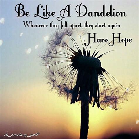 Dandelion Quotes - ShortQuotes.cc