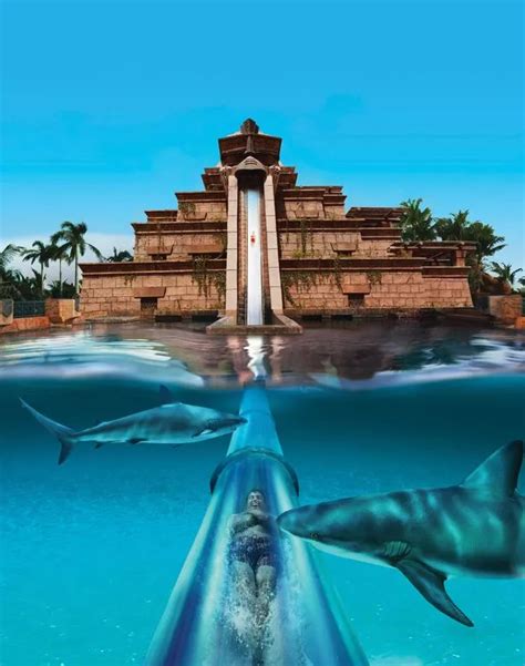 Atlantis Aquaventure, the biggest Waterpark in the World | Online Version