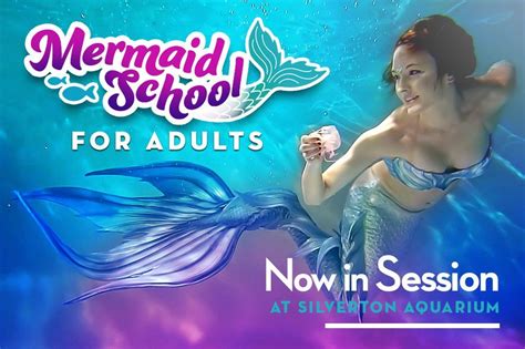 Mermaid School for Adults at Silverton Aquarium, Silverton Casino, Blue ...