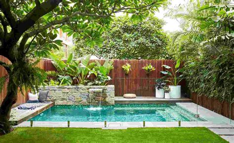 The Best Plants for Swimming Pool Landscaping - My Pool Guy