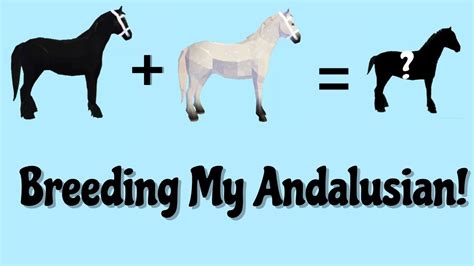 Breeding my Andalusian| Horse Valley Roblox!!! - YouTube