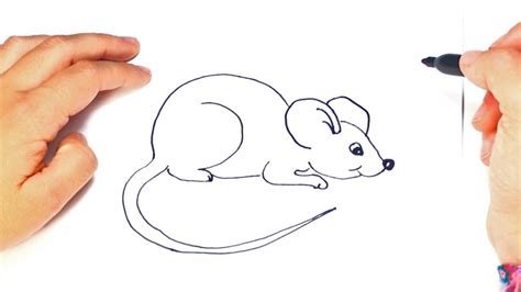 How To Draw A Mouse Easy - Soupcrazy1