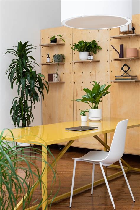 The Perfect Plants For Your Office! in 2022 | Indoor, Perfect plants ...