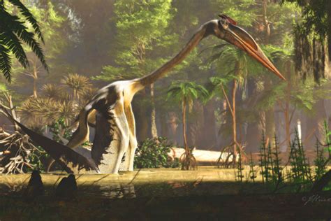 Walking With Dinosaurs Quetzalcoatlus