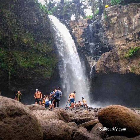 Bali Ubud Waterfall Tour 2024