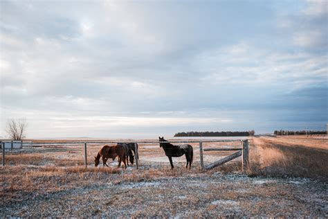 Women on the Rosebud Indian Reservation — TARA SHUPE PHOTOGRAPHY