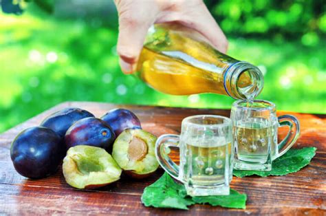 How To Make Slivovitz: Eastern Europe's Favorite Plum Brandy ...