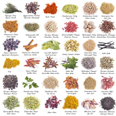 Spices set isolated on a white background stock image | Spices ...