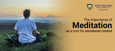 The Importance of Meditation as a tool for emotional control - Vedic ...