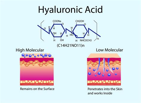 What is Hyaluronic Acid? - mybeautyorder.com