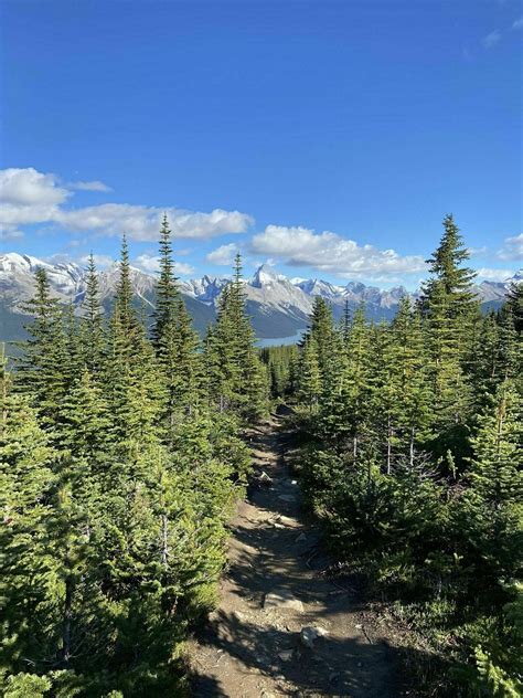 Photos of Bald Hills Trail Loop - Alberta, Canada | AllTrails