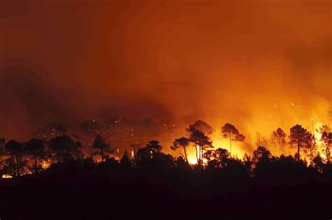 Feux de forêt en Amazonie: des centaines de nouveaux incendies repérés