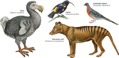 Extinction | Saving Earth | Encyclopedia Britannica