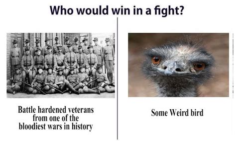 Emu War - Meme by WHYDOILEAVEGERMEANY :) Memedroid