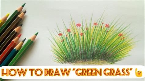 Grass Drawing Pencil