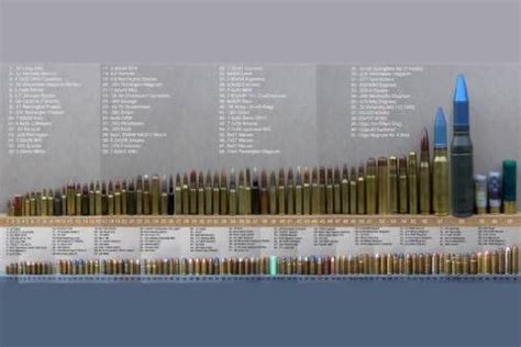 Bullet Caliber Comparison Chart Poster 24x36 : Amazon.ca: Home