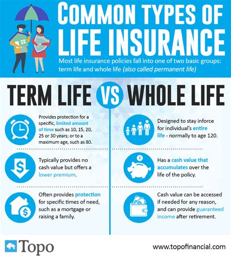 Understanding the Basics of Life Insurance – Real Estate News Central