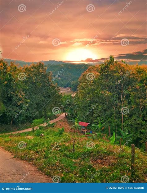 Sunrise View on the Green Hillside Stock Photo - Image of meadow ...