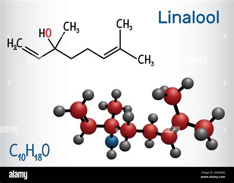 Linalool molecule. Structural chemical formula and molecule model ...