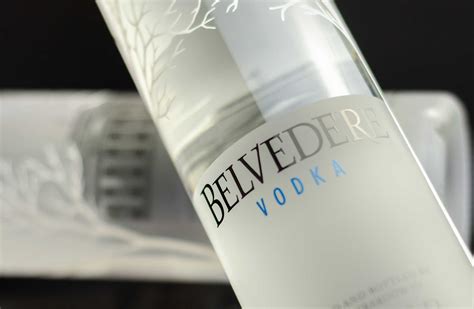 20 Best Top Shelf Vodka Brands to Try in 2024