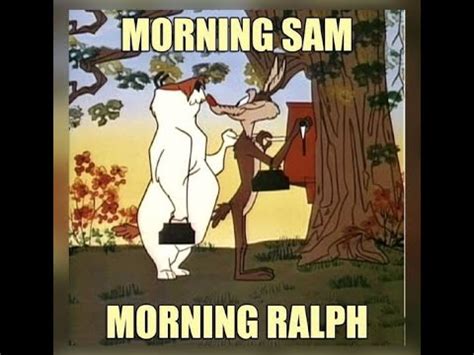 Ralph Wolf and Sam Sheepdog Cartoon - YouTube