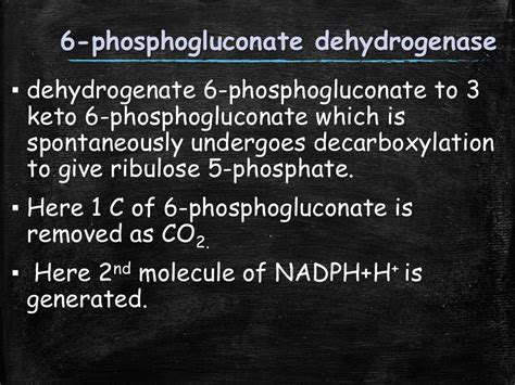 Hexose Monophosphate Shunt