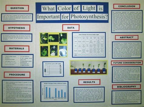 Science Fair Poster Board Layout