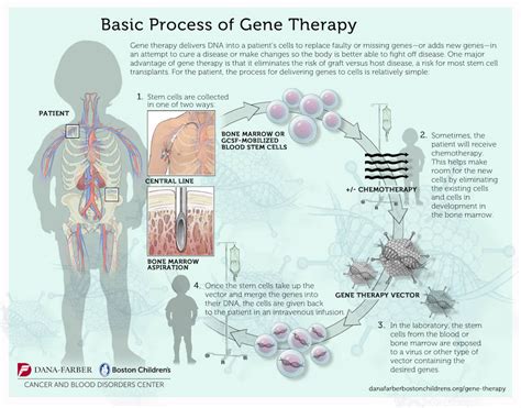 Childhood Cancer and the Promise of Gene Therapy | Dana-Farber Cancer ...