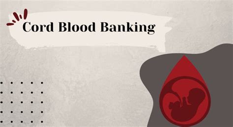 Cord Blood Banking: Pros, Cons and Costs Debunked