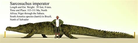 Sarcosuchus Size Reference Chart Photograph by Arthur Dorety